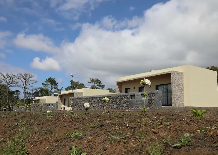 Quinta Das Torres Criacao Velha