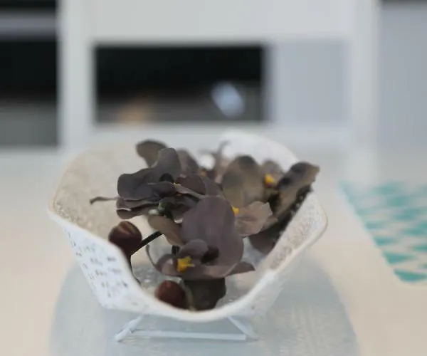 Quinta Das Torres Criacao Velha