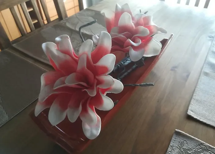 Quinta Das Torres * Criacao Velha